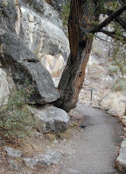 13Walnut Canyon path